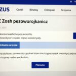 Ekran logowania do platformy PUE ZUS z zaznaczonym miejscem gdzie znaleźć numer emerytury