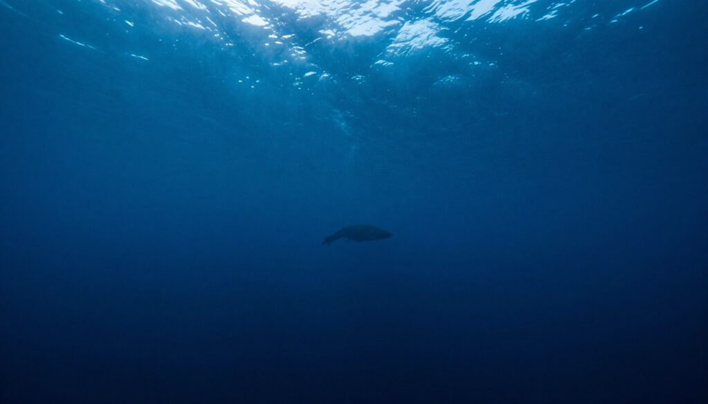 Widok na głęboką, ciemną wodę oceanu, ilustrujący talassofobię - lęk przed oceanem i głębokimi wodami